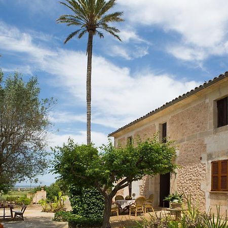 Agroturismo Es Pla De Llodra Manacor  Eksteriør bilde