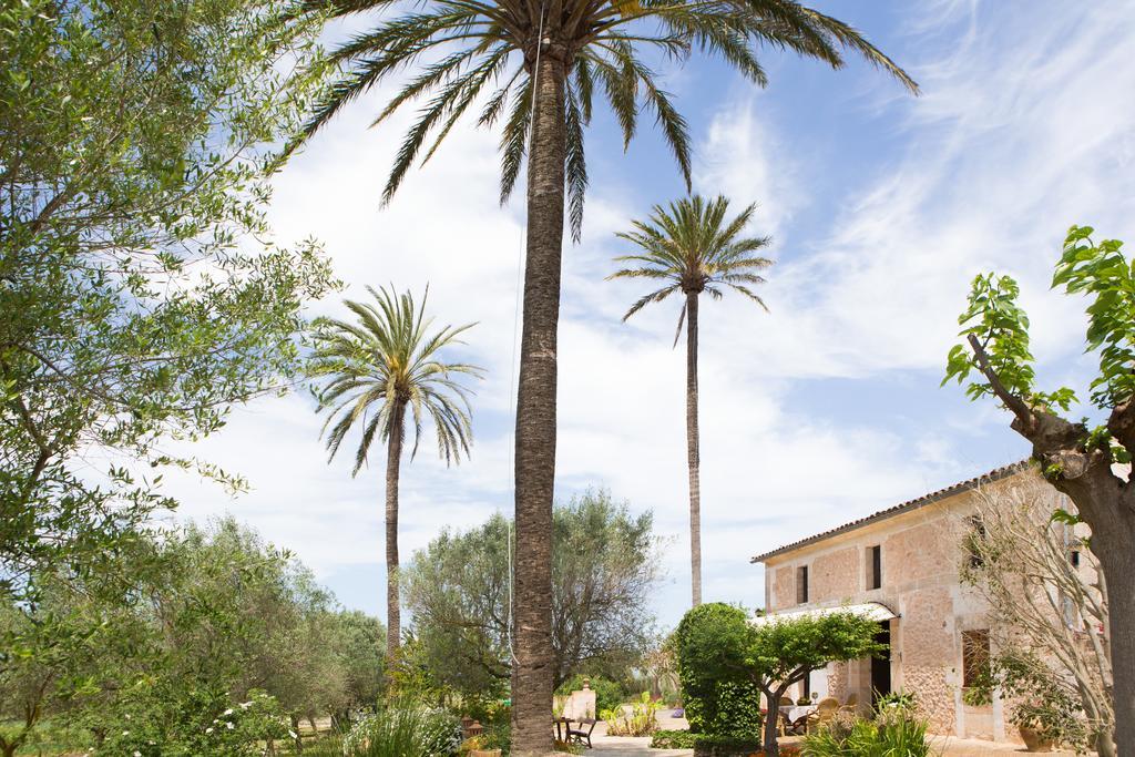 Agroturismo Es Pla De Llodra Manacor  Eksteriør bilde