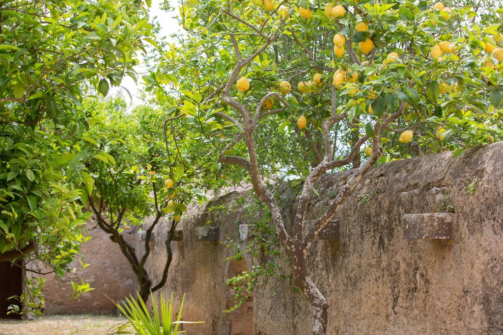 Agroturismo Es Pla De Llodra Manacor  Eksteriør bilde